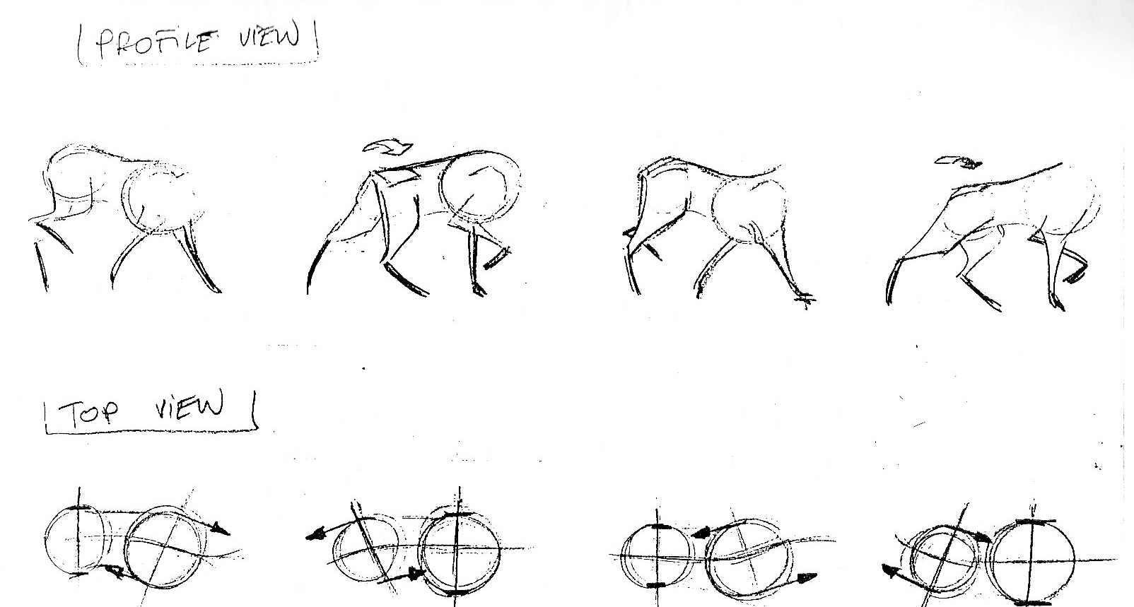 Balto_Walks_0007.jpg