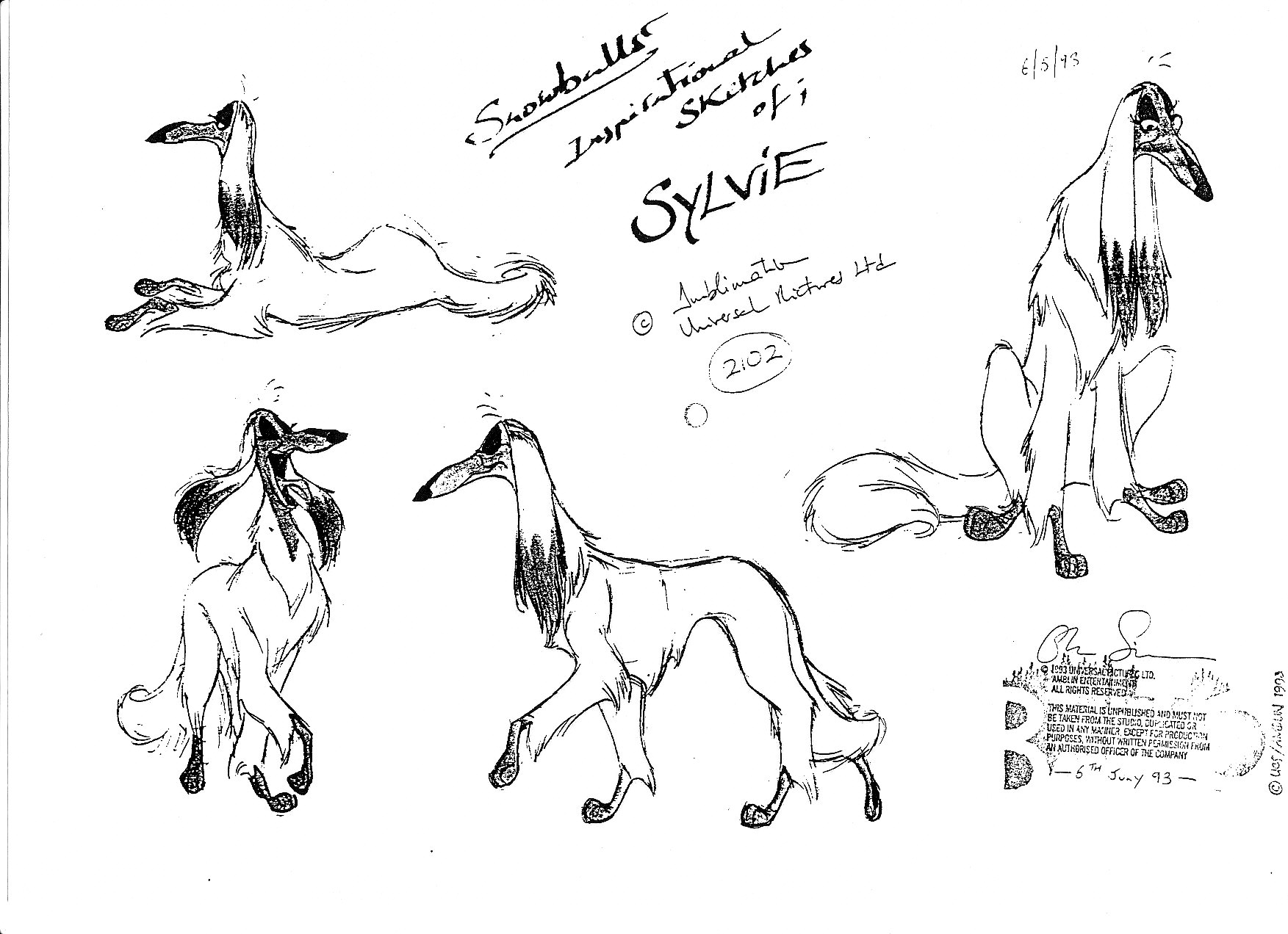 Sylvie_0003.jpg