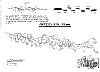 Balto_LineUp_0008.jpg Balto_LineUp_0008.jpg
