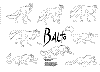 Balto_Model_0005.jpg Balto_Model_0005.jpg