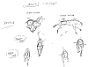 Balto_Walks_0001.jpg Balto_Walks_0001.jpg