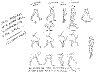 Balto_Walks_0004.jpg Balto_Walks_0004.jpg