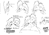 Doc_0003.jpg Doc_0003.jpg