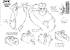 Doc_0006.jpg Doc_0006.jpg