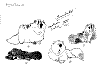 Dogs_0003.jpg Dogs_0003.jpg