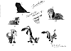 Dogs_0004.jpg Dogs_0004.jpg