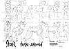 Star_0003.jpg Star_0003.jpg