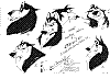 Steele_0001.jpg Steele_0001.jpg