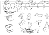 Steele_0006.jpg Steele_0006.jpg