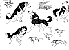 Steele_0008.jpg Steele_0008.jpg