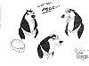 Steele_0014.jpg Steele_0014.jpg